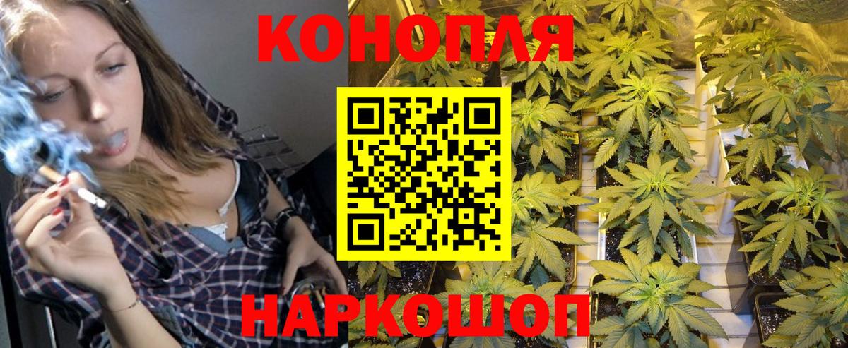 Марихуана сатива  Бошки Шишки White Widow  Канабис Bruce Banner  Кимры  Вход с VPN  Бошки Шишки гибрид 